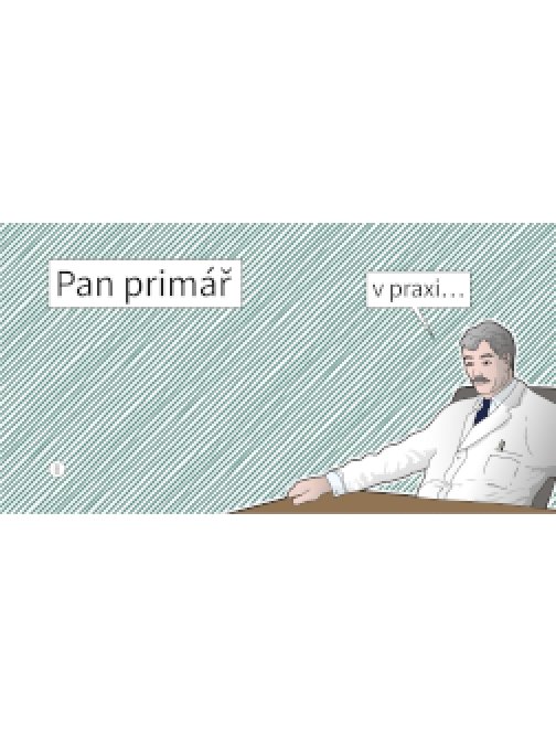 Pan primář v praxi